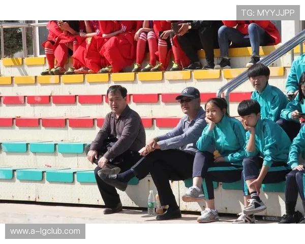 狗狗趣味发声足球玩具带来无限欢乐的户外运动互动体验指南全面解读